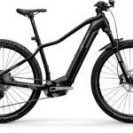 Centurion Backfire Fit R800i - 750 Wh - 2025 - 29 Zoll - Herren