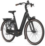 Gazelle Arroyo C8+ Elite - 600 Wh - 2026 - 28 Zoll - Tiefeinsteiger