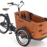 Babboe Go Mountain - 500 Wh - 2026 - 26 / 20 Zoll - Unisex Cargo